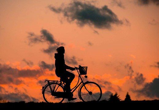 Journée mondiale du vélo sur le calendrier en ligne gratuit Very Utile
