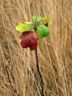 Septembre, le premier mois d'automne.