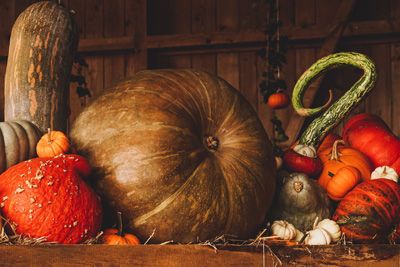 Légumes de saison au mois de novembre